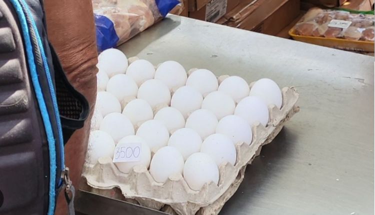 Tuambia Huevos Online Egg Shopping In Cuba tuambia huevos