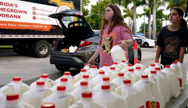The Entrega De Comida Gratis Hoy En Miami 2023 The Entrega De Comida Gratis Hoy En Miami 2023