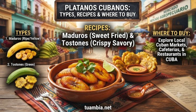 platanos cubanos